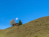 Untergehender Mond über Almgebäude beim Hochfelln
